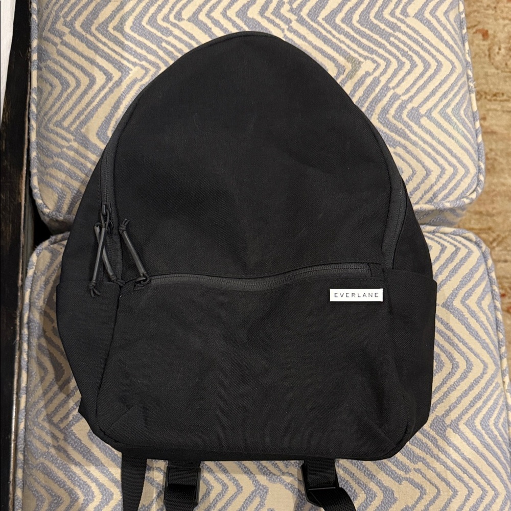 Everlane Classic Black Backpack